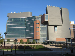 University Of Cincinnati Economics Programmes
